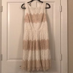WHBM White and cream lace dress